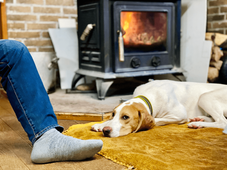 Energy Efficient Wood Stove Guide