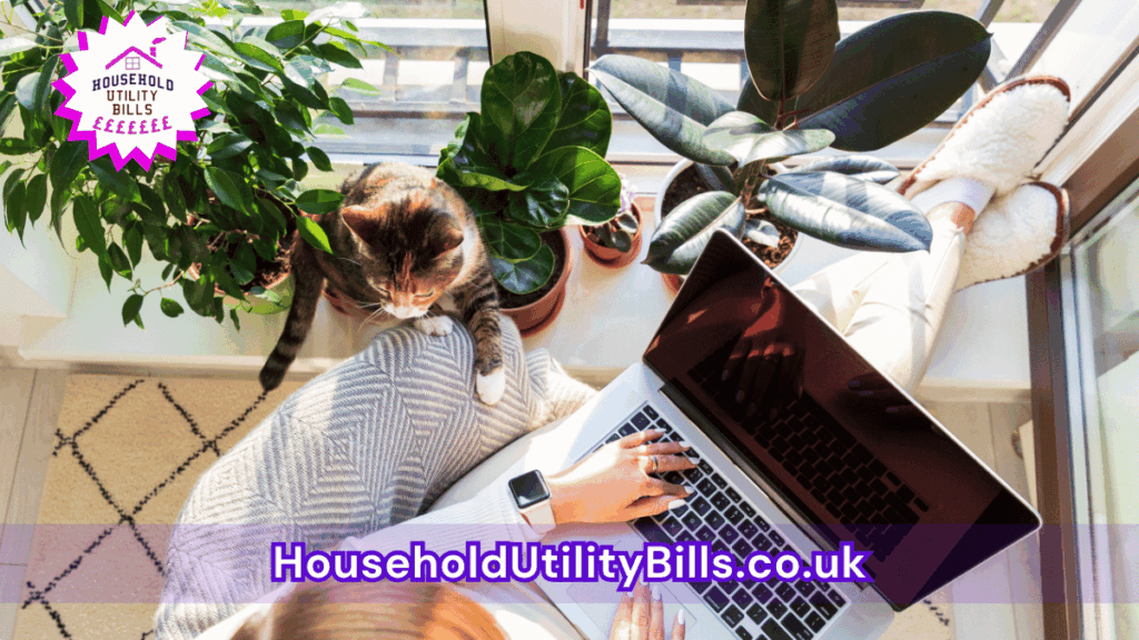 Broadband Issues: What Happens When Your Router Overheats? 12 135 Bulk 43 Hubs Broadband Image Template