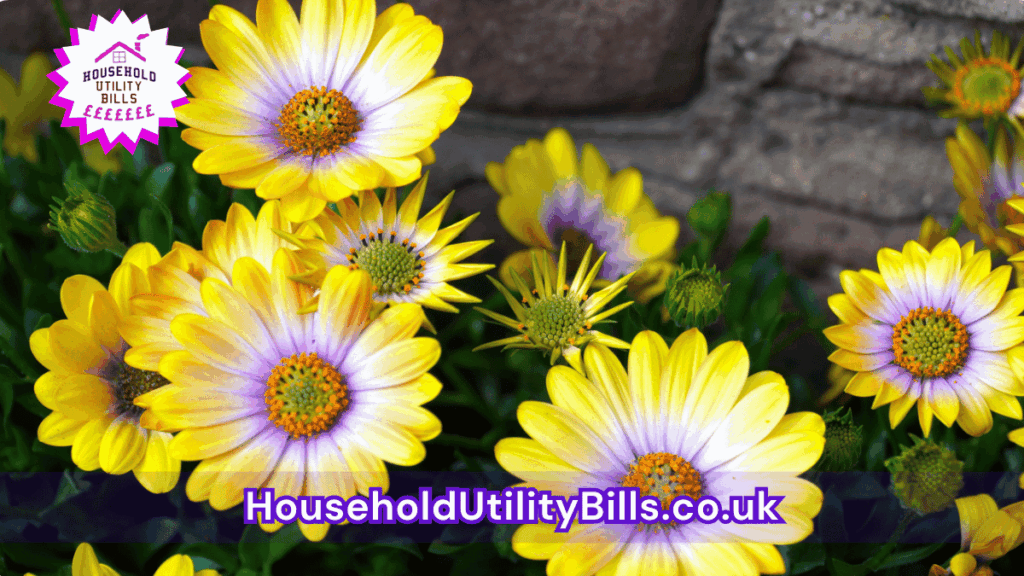 140 Bulk 29 Hubs 4 Homecare Image Template