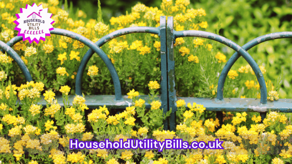 15 Bulk 71 Hubs 3 Homecare Image Template