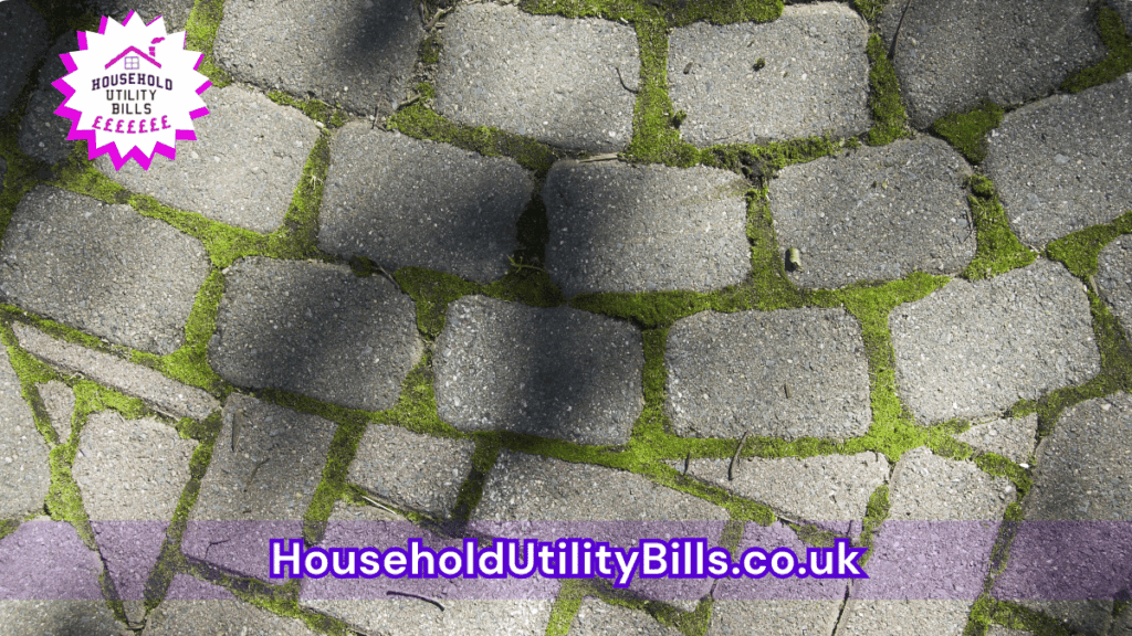160 Bulk 73 Hubs 3 Homecare Image Template