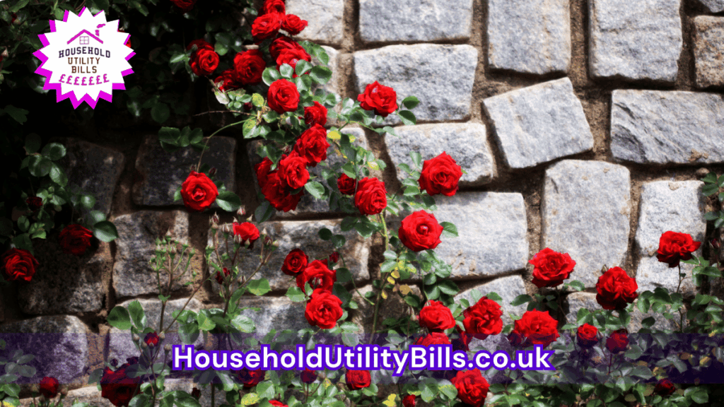 164 Bulk 75 Hubs 4 Homecare Image Template