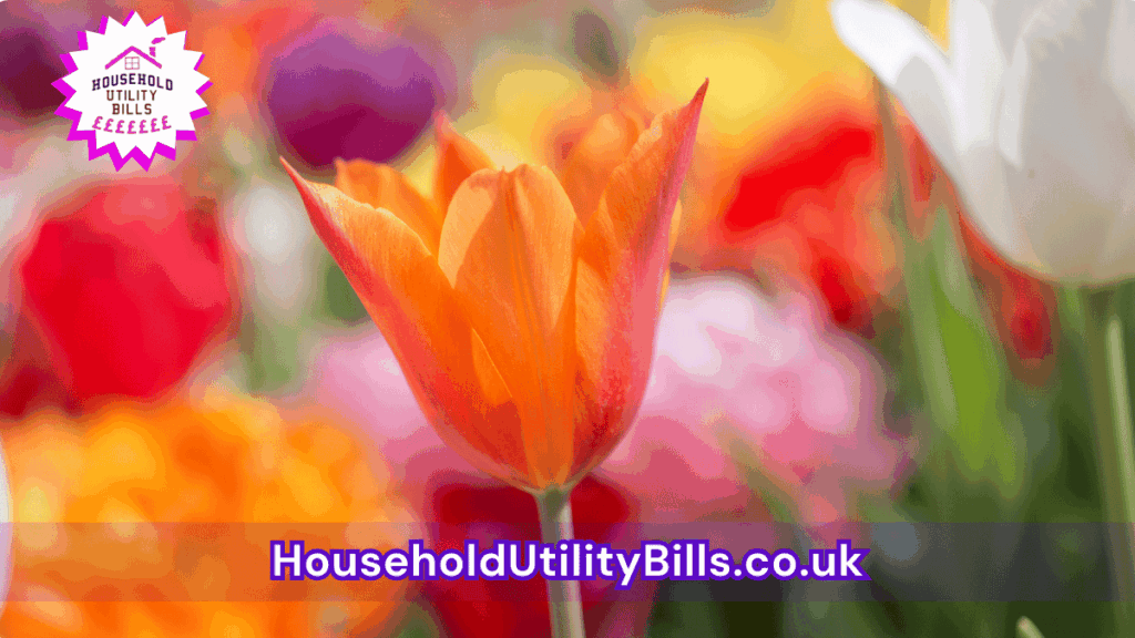 191 Bulk 27 Hubs 4 Homecare Image Template