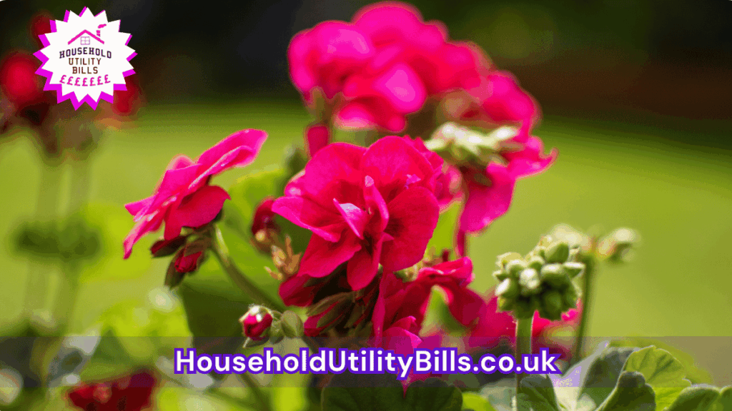 How To Reduce Clutter Permanently: What Most People Miss About Ongoing Organisation 29 199 Bulk 51 Hubs 4 Homecare Image Template