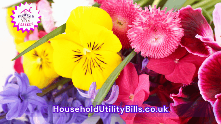 32 Bulk 60 Hubs 4 Homecare Image Template