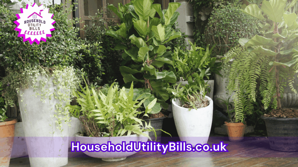 How Your Home Can Make Spaces Work Harder: Improving Energy Efficiency Without Extra Cost 36 42 Bulk 36 Hubs 4 Homecare Image Template