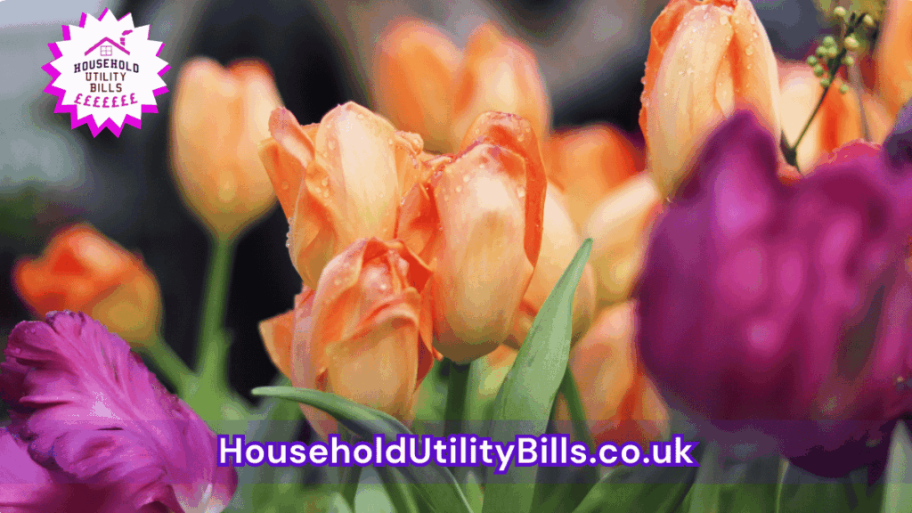 44 Bulk 59 Hubs 4 Homecare Image Template