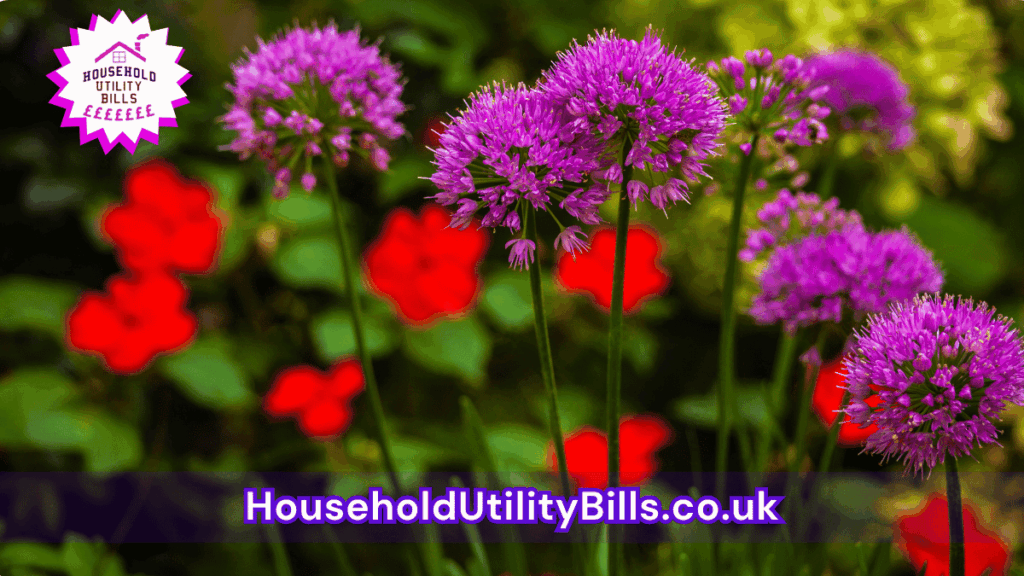 53 Bulk 50 Hubs 4 Homecare Image Template