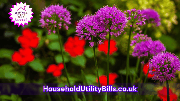 53 Bulk 50 Hubs 4 Homecare Image Template