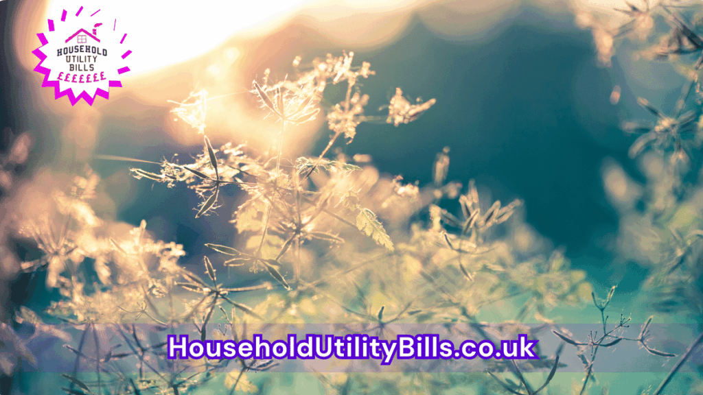 62 Bulk 65 Hubs 4 Homecare Image Template