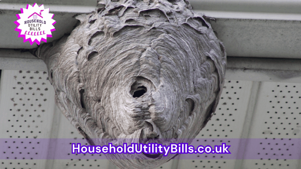 Why Your Power Cut In The House Can Lead To Food Wastage 14 65 Bulk 87 Hubs 1 Insurance Image Template