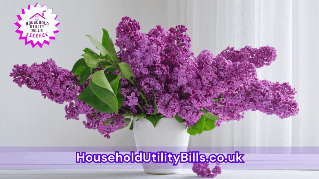 69 Bulk 71 Hubs 2 Homecare Image Template