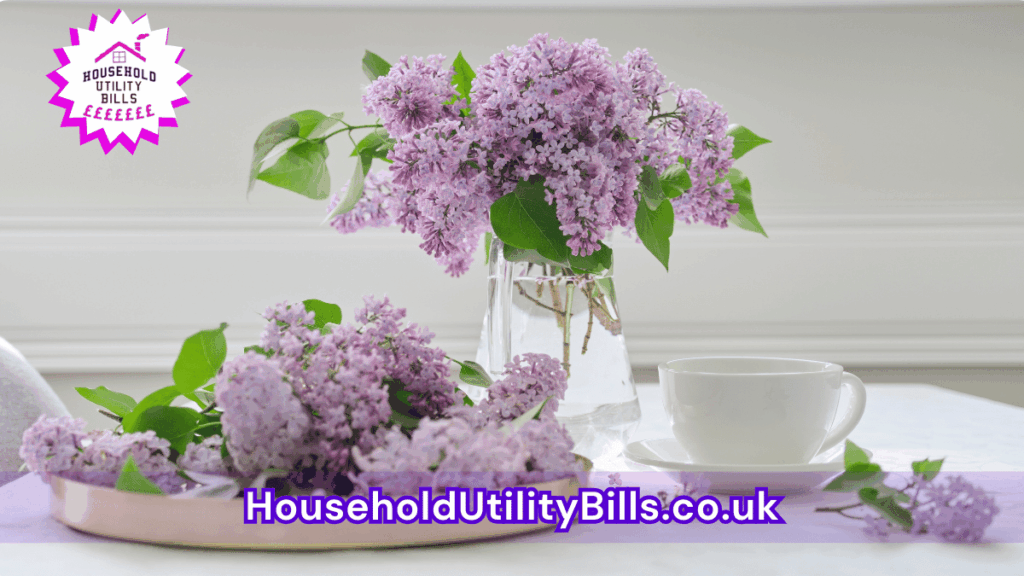 6 Bulk 70 Hubs 2 Homecare Image Template