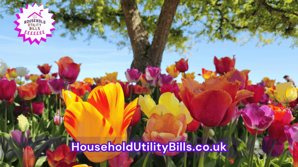 Finding It Harder To Manage Home Life: What Most People Miss About Increasing Household Demands 26 71 Bulk 22 Hubs 4 Homecare Image Template