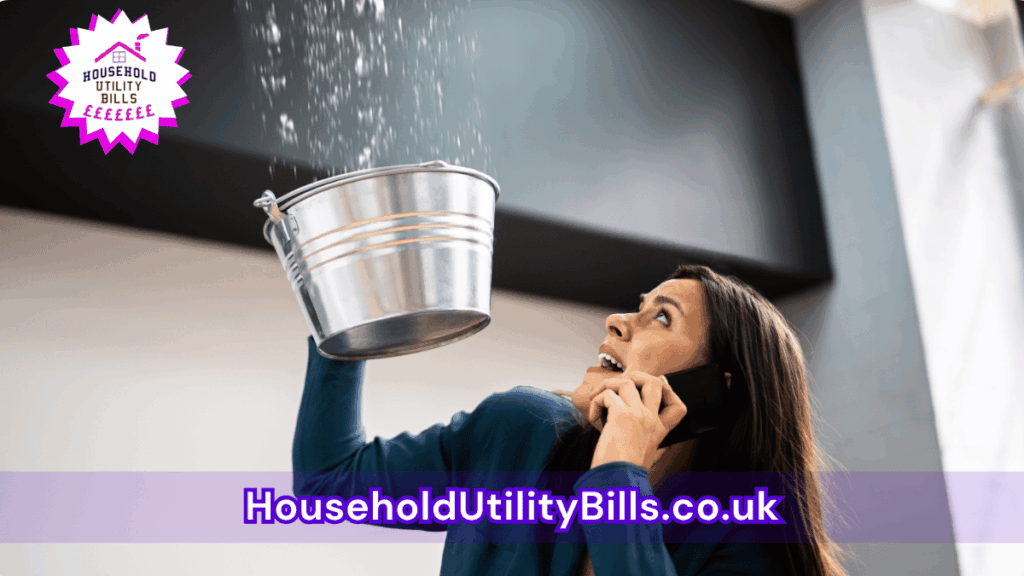 77 Bulk 96 Hubs 2 Insurance Image Template