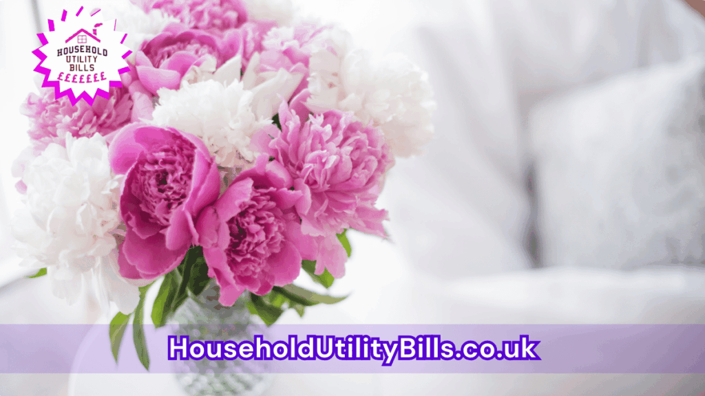 92 Bulk 47 Hubs 2 Homecare Image Template