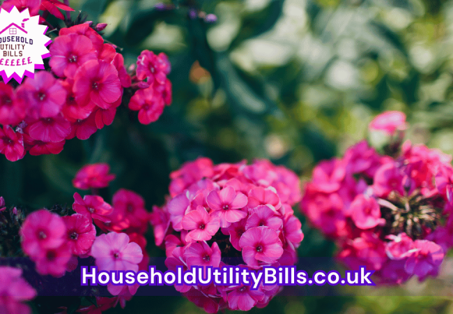 102_(Bulk 52) HUBS 4 HomeCare Image Template