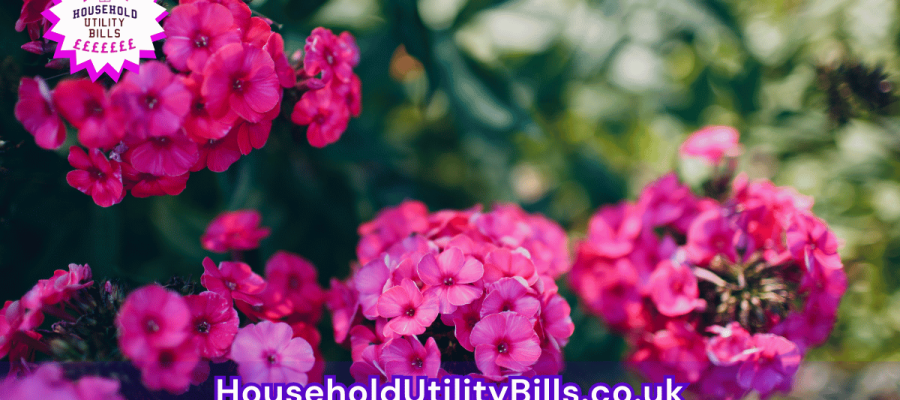 102_(Bulk 52) HUBS 4 HomeCare Image Template
