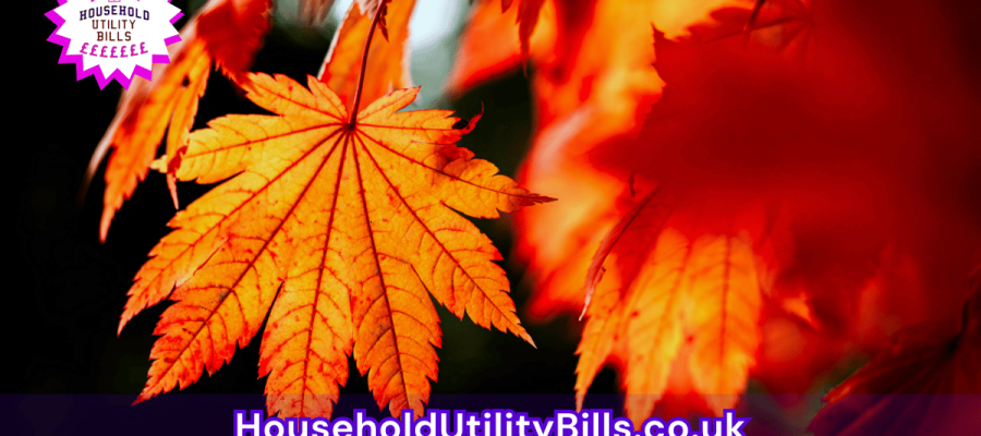103_(Bulk 10) HUBS 4 HomeCare Image Template