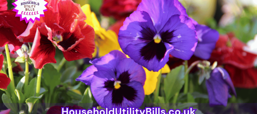 11_(Bulk 57) HUBS 4 HomeCare Image Template