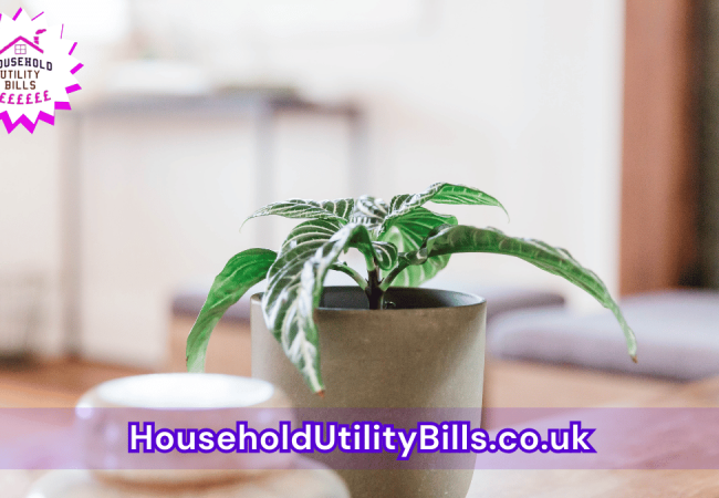 131_(Bulk 24) HUBS 3 HomeCare Image Template