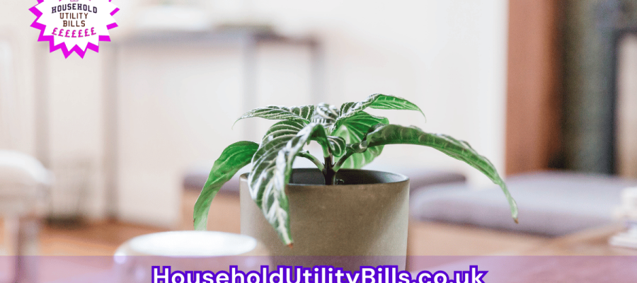 131_(Bulk 24) HUBS 3 HomeCare Image Template