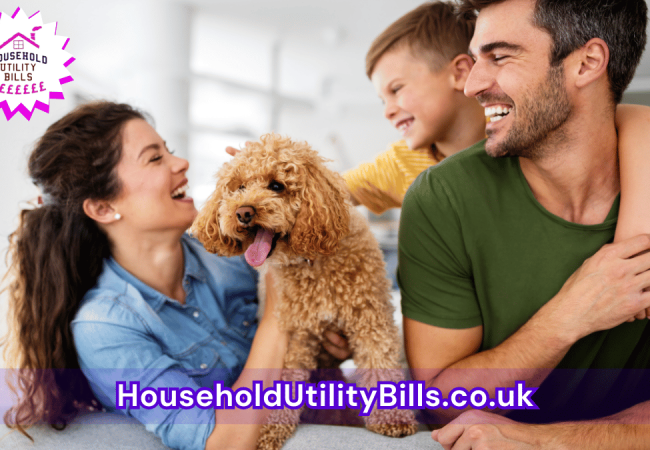 139_(Bulk 29) HUBS 3 Energy Image Template