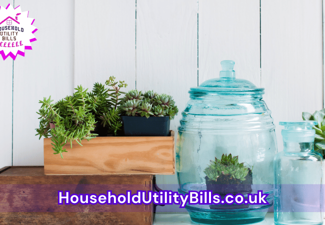 146_(Bulk 72) HUBS 2 HomeCare Image Template