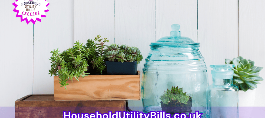 146_(Bulk 72) HUBS 2 HomeCare Image Template