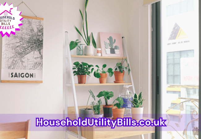 149_(Bulk 48) HUBS 2 HomeCare Image Template