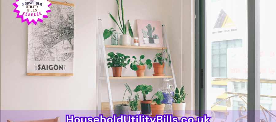 149_(Bulk 48) HUBS 2 HomeCare Image Template