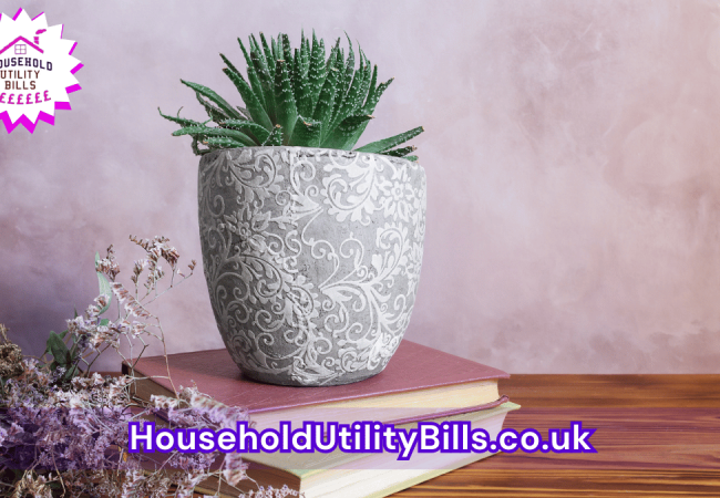 14_(Bulk 1) HUBS 3 HomeCare Image Template