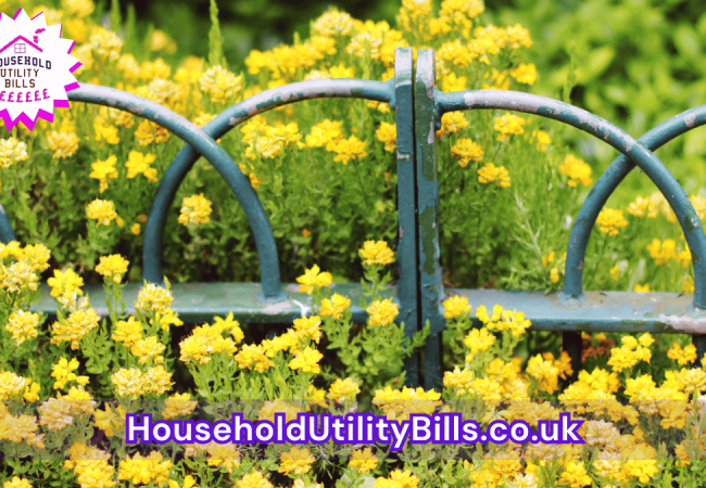 15_(Bulk 71) HUBS 3 HomeCare Image Template