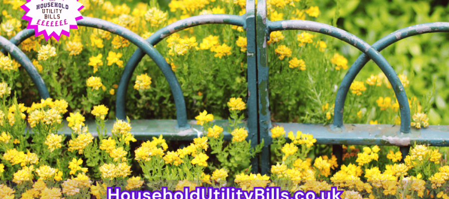 15_(Bulk 71) HUBS 3 HomeCare Image Template