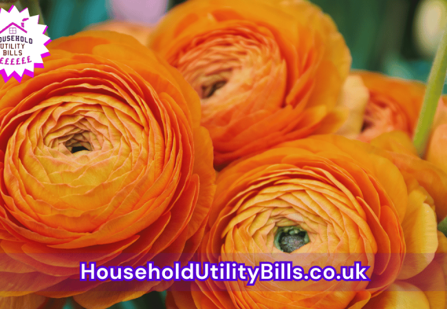 161_(Bulk 90) HUBS 4 HomeCare Image Template