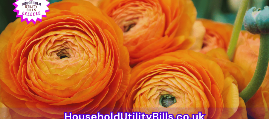 161_(Bulk 90) HUBS 4 HomeCare Image Template