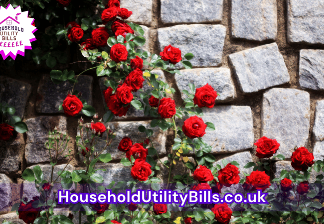164_(Bulk 75) HUBS 4 HomeCare Image Template