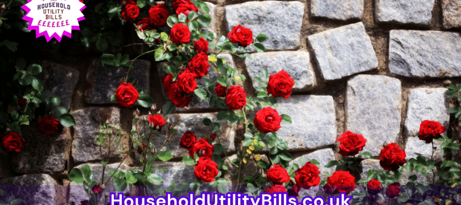 164_(Bulk 75) HUBS 4 HomeCare Image Template