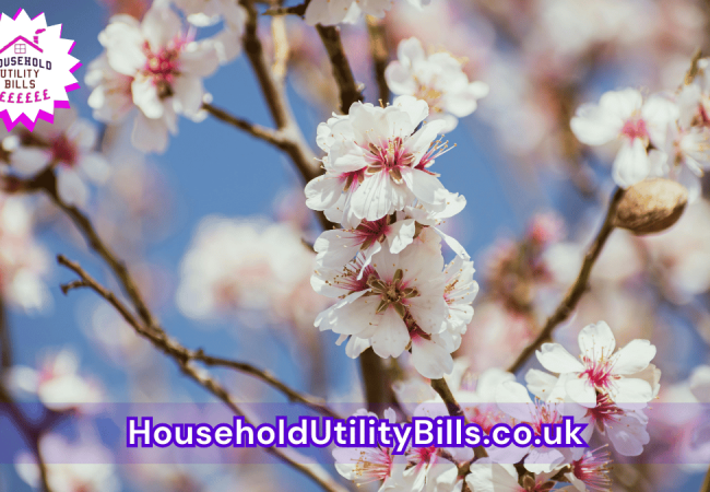 166_(Bulk 32) HUBS 4 HomeCare Image Template