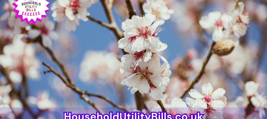 166_(Bulk 32) HUBS 4 HomeCare Image Template