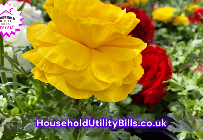 167_(Bulk 58) HUBS 4 HomeCare Image Template