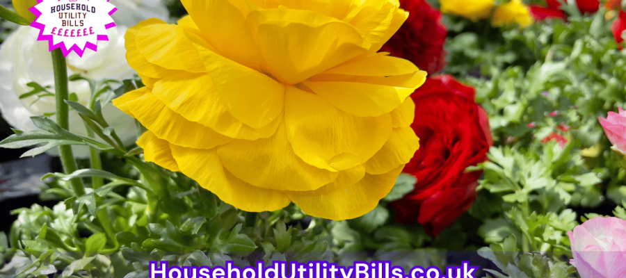 167_(Bulk 58) HUBS 4 HomeCare Image Template