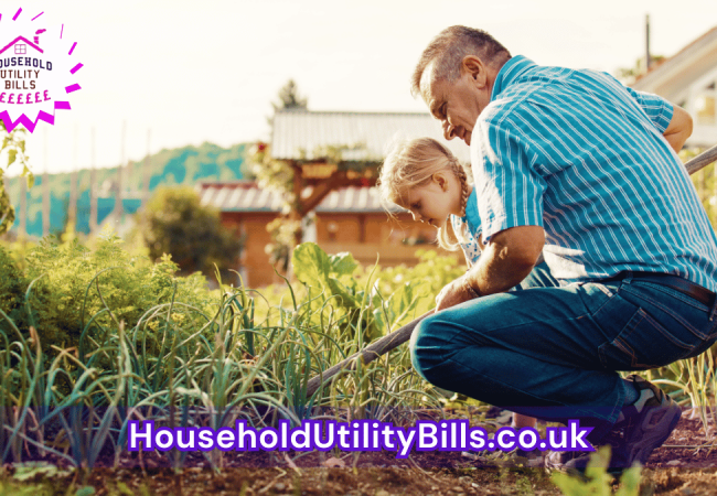 172_(Bulk 19) HUBS 4 HomeCare Image Template