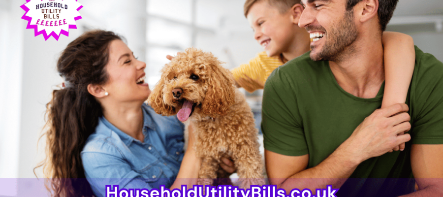 172_(Bulk 29) HUBS Energy Image Template