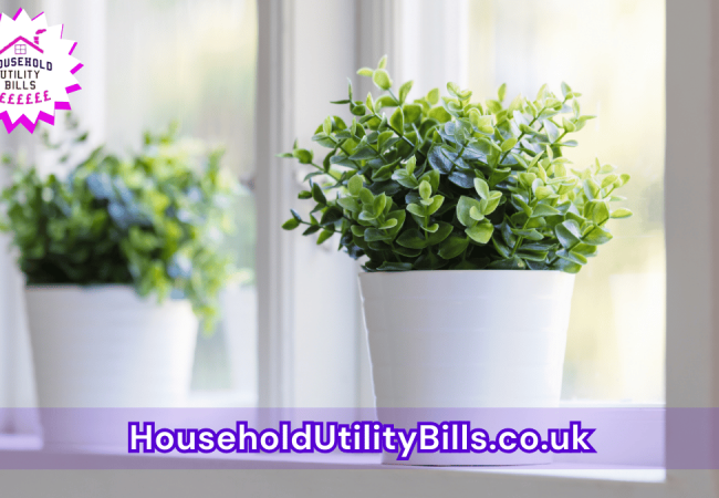 177_(Bulk 5) HUBS 3 HomeCare Image Template