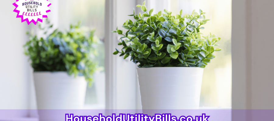 177_(Bulk 5) HUBS 3 HomeCare Image Template