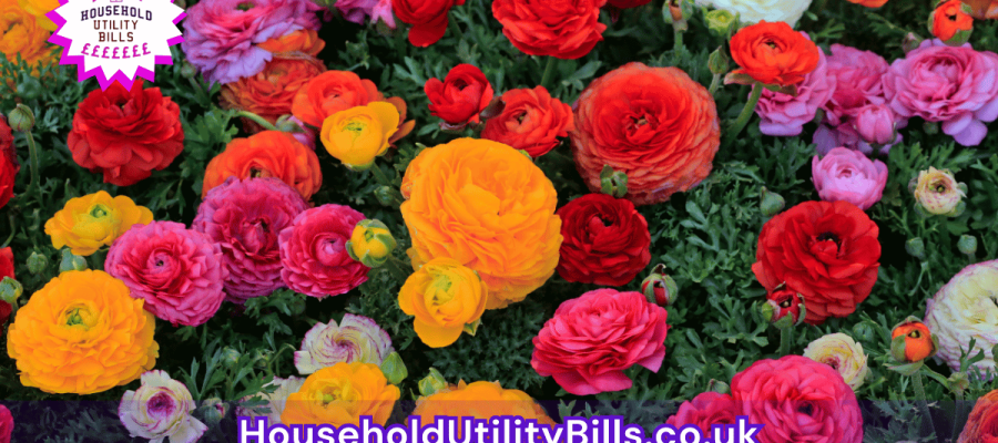 178_(Bulk 20) HUBS 4 HomeCare Image Template