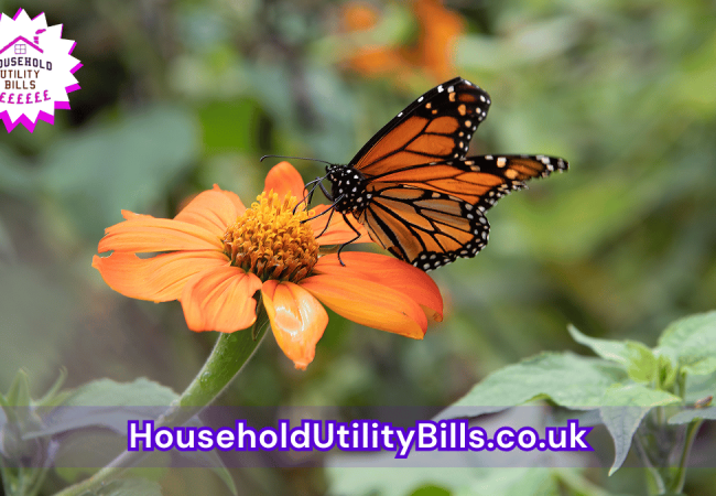 188_(Bulk 79) HUBS 3 HomeCare Image Template