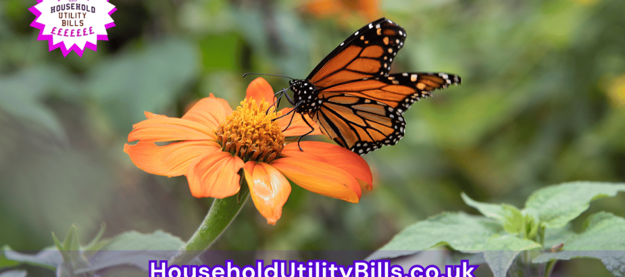 188_(Bulk 79) HUBS 3 HomeCare Image Template