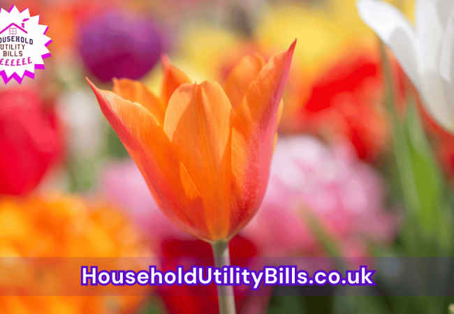 191_(Bulk 27) HUBS 4 HomeCare Image Template